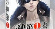 男神第一妻新版