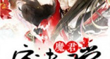 魔君宠夫日常新版