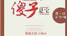重生之傻子是宝新版