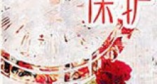 贴身保护新版