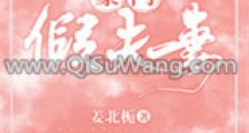 豪门假夫妻新版