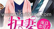 护妻狂魔:庞总恋爱了新版