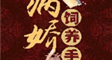 病娇饲养手册新版