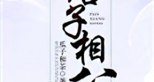 痞子相公新版