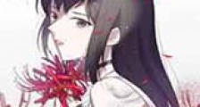 为这美好世界献上诅咒新版