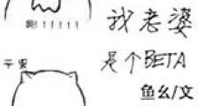 我老婆是个Beta新版