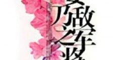 妻乃敌军之将新版
