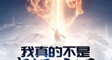我真的不是气运之子新版