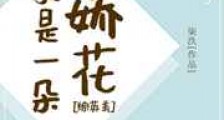 我是一朵娇花新版