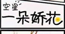 一朵娇花新版