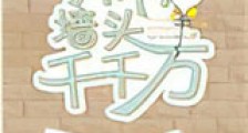 我有墙头千千万新版