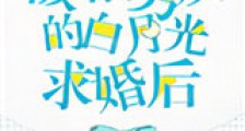 被前男友的白月光求婚后新版