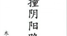 大撞阴阳路新版
