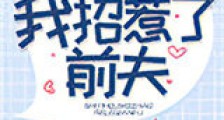 失忆后我招惹了前夫新版
