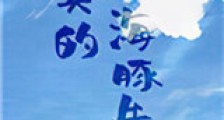 有只海豚想撩我新版