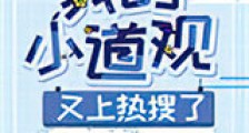 我的小道观又上热搜了新版