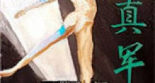 打真军新版