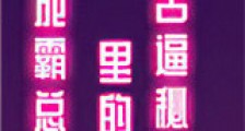 穿成霸总文里的苦逼秘书新版