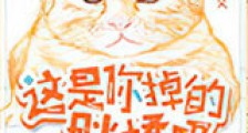 这是你掉的胖橘吗新版