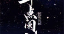 半点阑珊新版