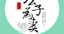 公子为妻新版