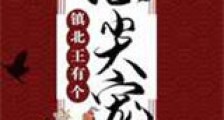 镇北王有个心尖宠新版