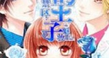贵族禁区:我的王子新版