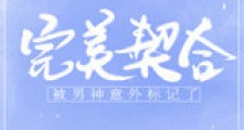 被男神意外标记了新版