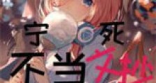 宁死不当文抄公新版