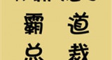 我霸宠了霸道总裁新版