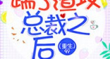 踹了渣攻总裁之后新版