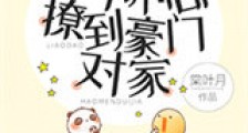 一不小心撩到豪门对家新版