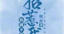 你就不要招惹我新版