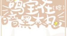 鸣宝在暗黑本丸新版