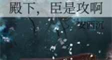 殿下,臣是攻啊新版