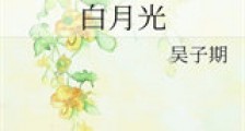 白月光新版
