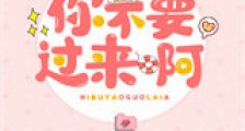 你不要过来啊新版