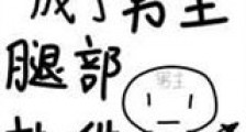 穿书后我成了男主腿部挂件新版
