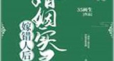 嫁错人后婚姻实录新版