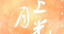 心上月光新版