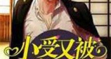 小受又被弄哭了新版