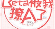 Beta被我撩A了新版