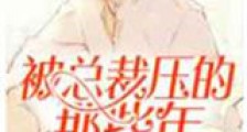 被总裁压的那些年新版