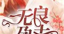 无良孕夫新版