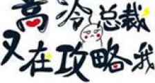 高冷总裁又在攻略我新版