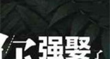 你强娶了你前夫新版