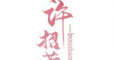 不许招惹新版