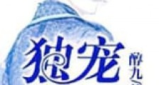 独宠男妻新版